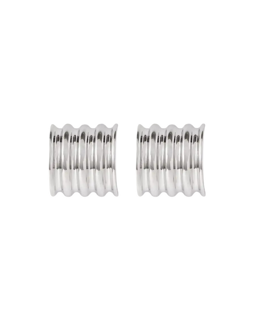 Remi Earrings Silver